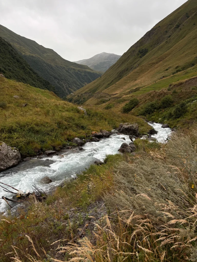 Discover the tranquil beauty of a flowing stream in the lush valleys of Juta Georgia