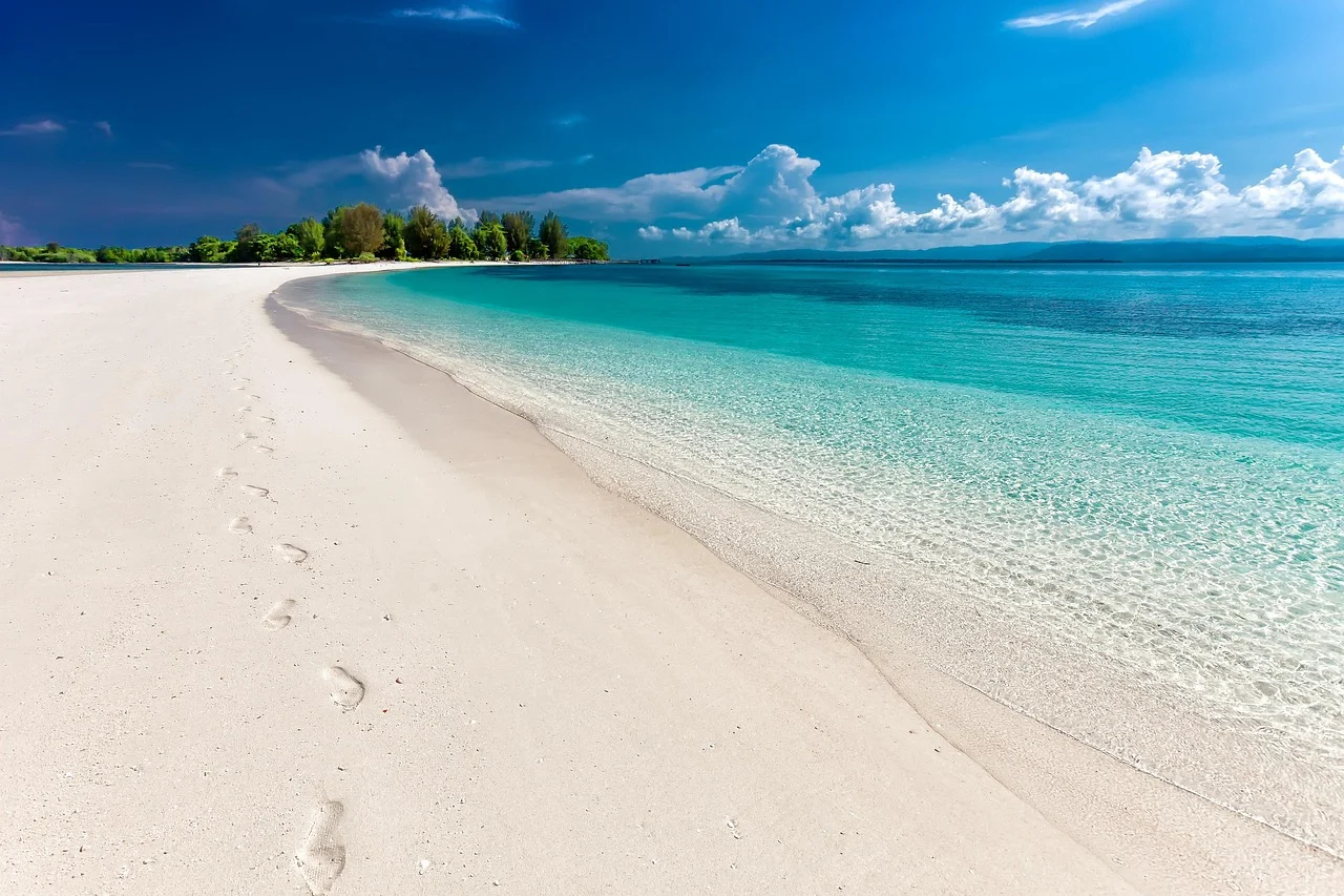 The Coastal Landscape Beyond the Beach