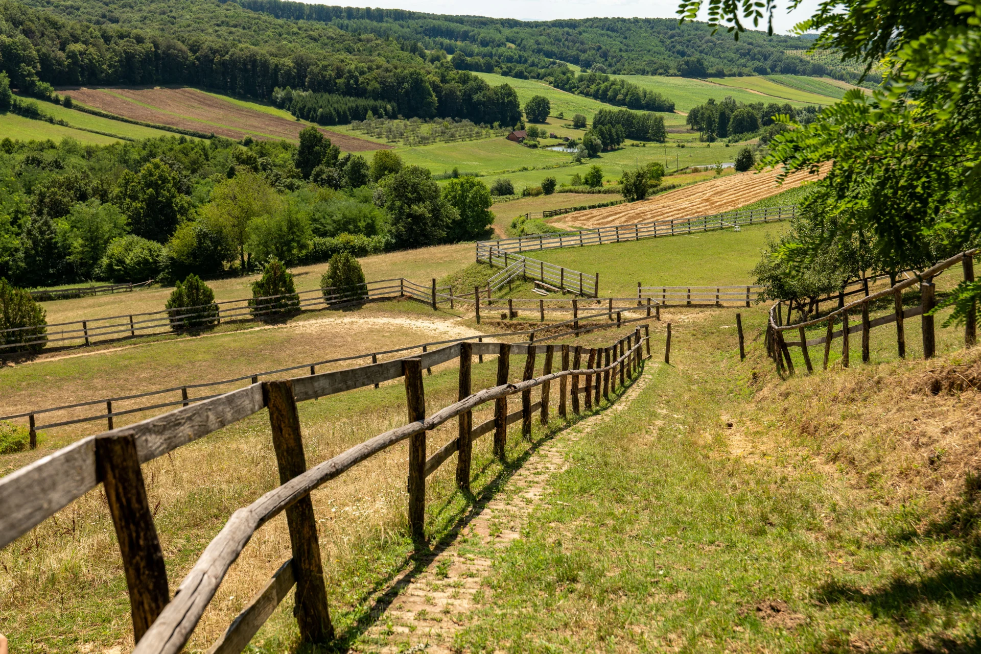 From Zagreb Streets to the Green Slopes of Medvednica